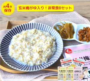 石井食品　非常食19品　玄米梅がゆ非常食Bセット