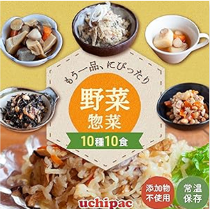 ウチパク　野菜総菜10種10食セット