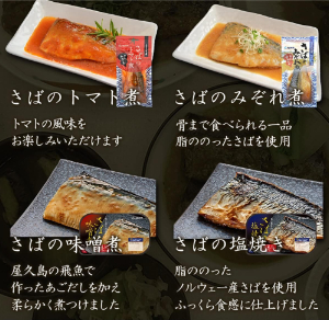 YSフーズ　煮魚・焼き魚8種16食3