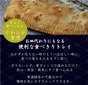 YSフーズ　さばの味噌煮さばの塩焼き2種8食4